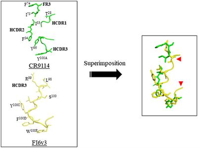 Peptide Antiviral Strategies as an Alternative to Treat Lower Respiratory Viral Infections